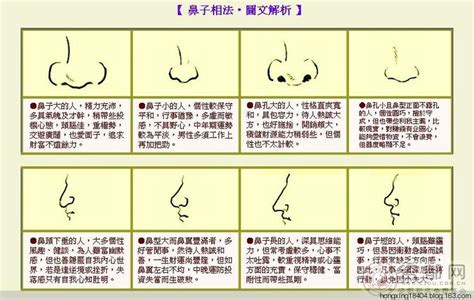 鼻头圆 面相